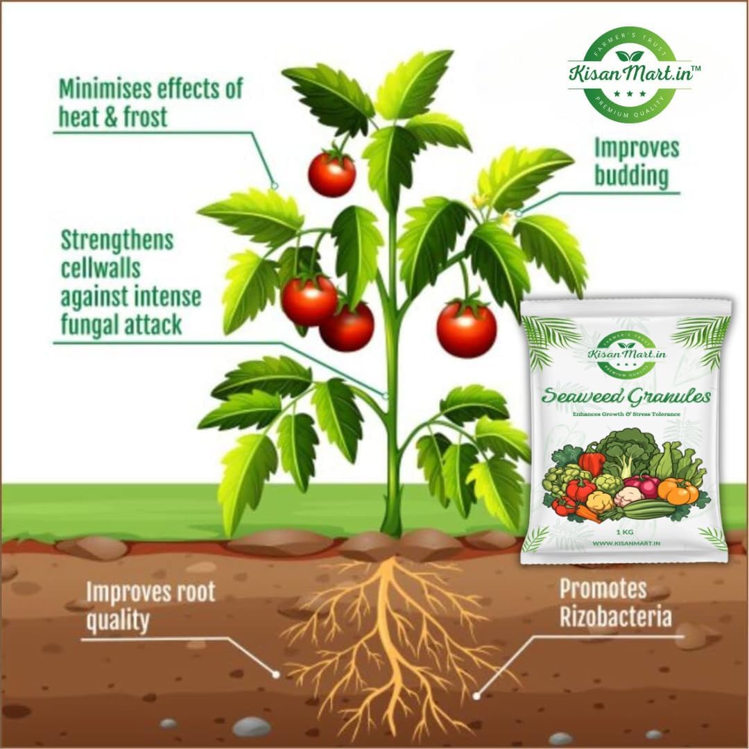 KISANMART Seaweed Granules