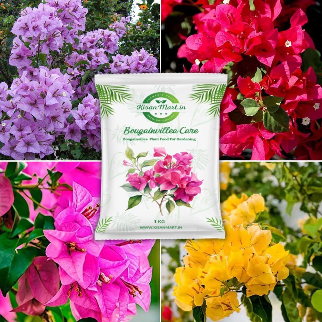 Kisanmart Bougainvillea Care – 100% Organic Flower Booster | Enhances Growth, Boosts Blooms & Strengthens Roots | Ideal for Home Gardens & Outdoor Plants