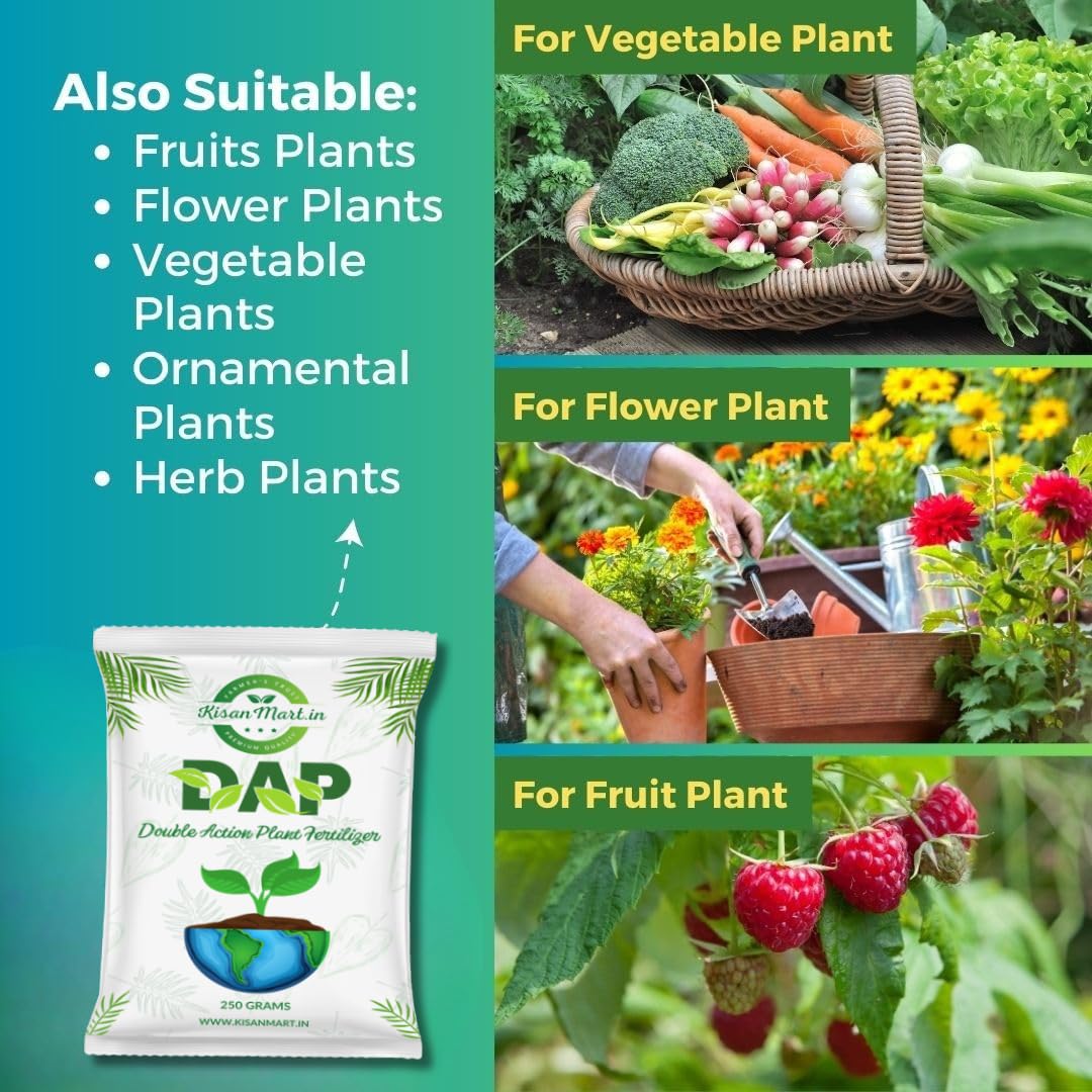 KISANMART DAP Double Action Fertilizer – Standup Saaf Coated Seaweed Granules