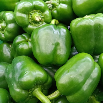 शिमला मिर्च की खेती की संपूर्ण जानकारी
