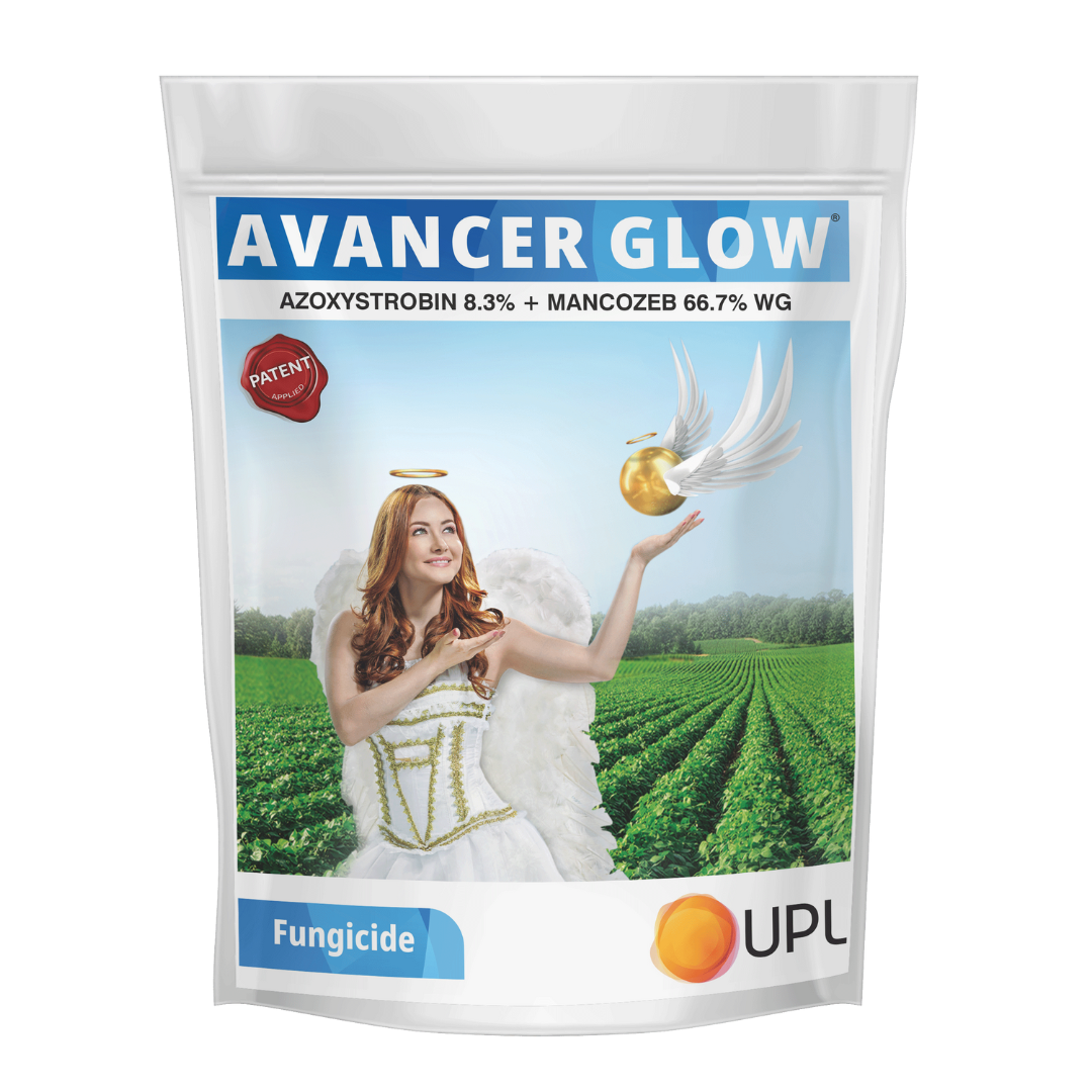 UPL Avancer Glow (Azoxystrobin 8.3% + Mancozeb 66.7% WG)