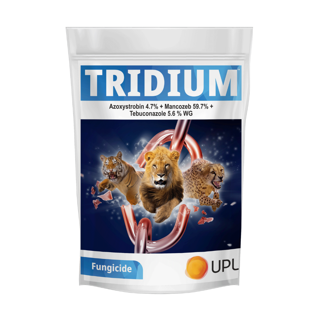 UPL Tridium (Azoxystrobin 4.7% + Mancozeb 59.7% + Tebuconazole 5.6% WG)