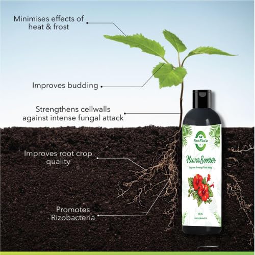 Kisanmart Flower Booster 100ml | Bloom Enhancer & Plant Nutrient Solution | Promotes More Flowers, Healthy Growth & Vibrant Blooms | Ideal for Indoor & Outdoor Plants, Garden & Pots