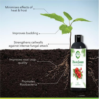 Kisanmart Flower Booster 100ml | Bloom Enhancer & Plant Nutrient Solution | Promotes More Flowers, Healthy Growth & Vibrant Blooms | Ideal for Indoor & Outdoor Plants, Garden & Pots