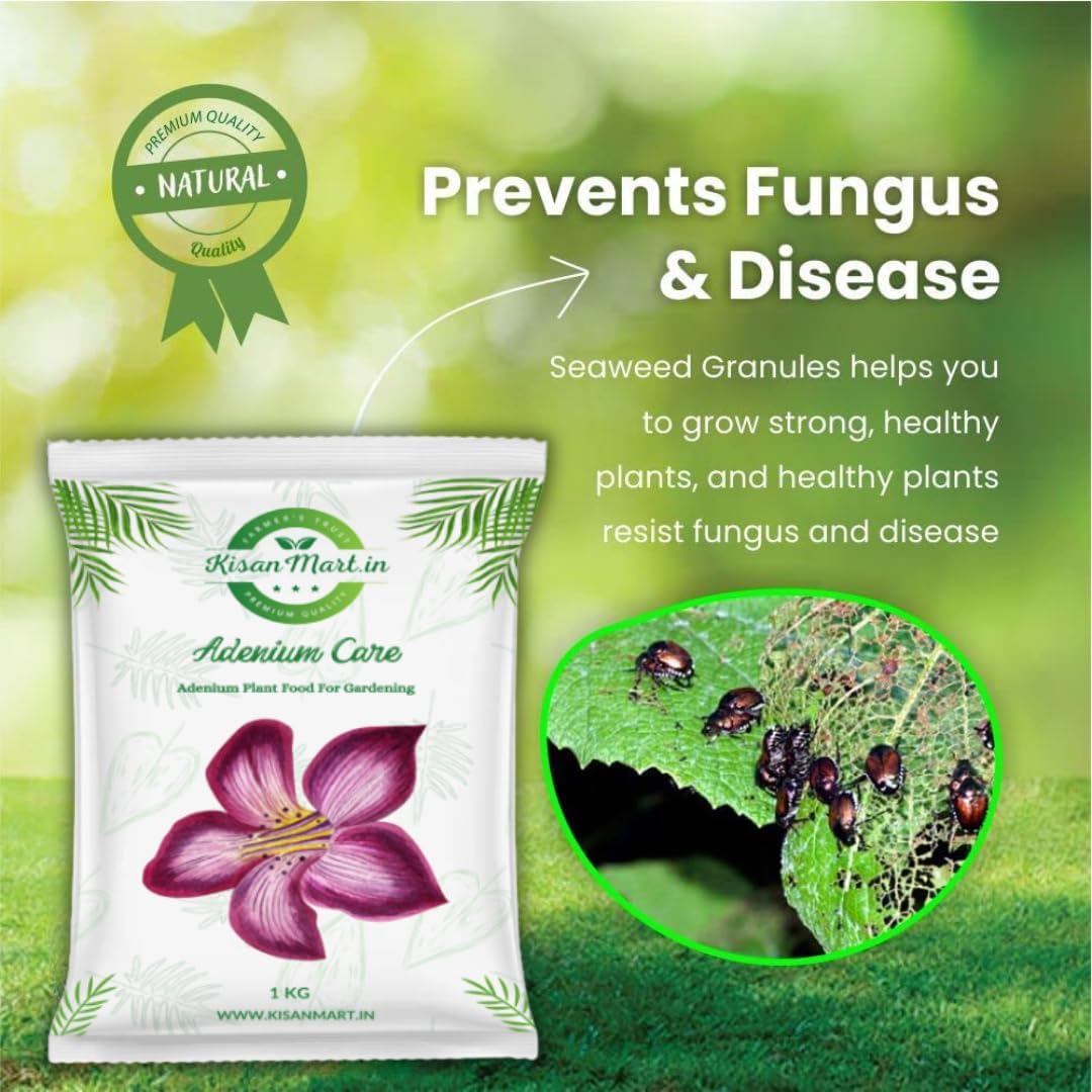 Kisanmart Adenium Flower Booster | Ultimate Adenium Food Fertilizer For Flowering plants, Enhance Color & Strengthen Roots
