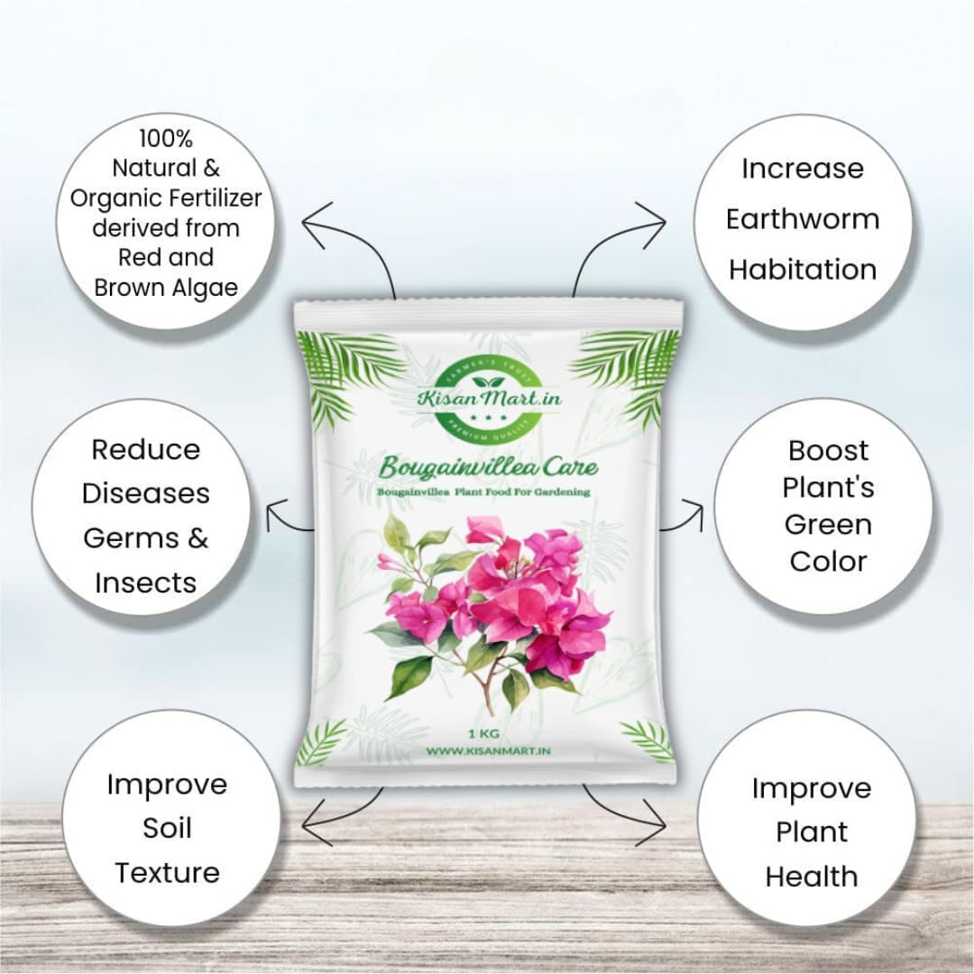 Kisanmart Bougainvillea Care – 100% Organic Flower Booster | Enhances Growth, Boosts Blooms & Strengthens Roots | Ideal for Home Gardens & Outdoor Plants