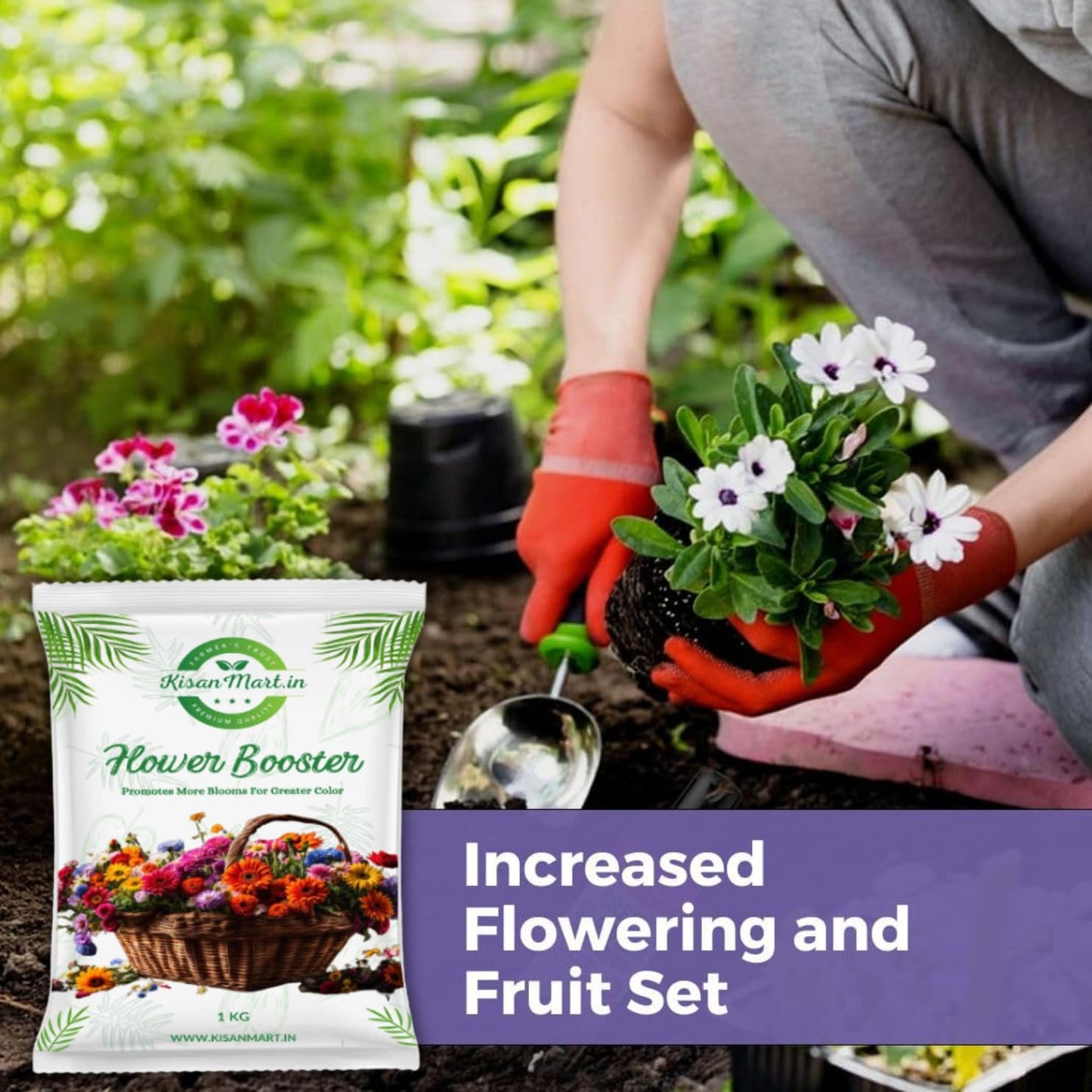 Kisanmart Flower Booster – Organic Bloom Enhancer for More Flowers & Healthier Plants | Increases Bud Formation, Improves Soil Fertility, Chemical-Free & Easy to Use