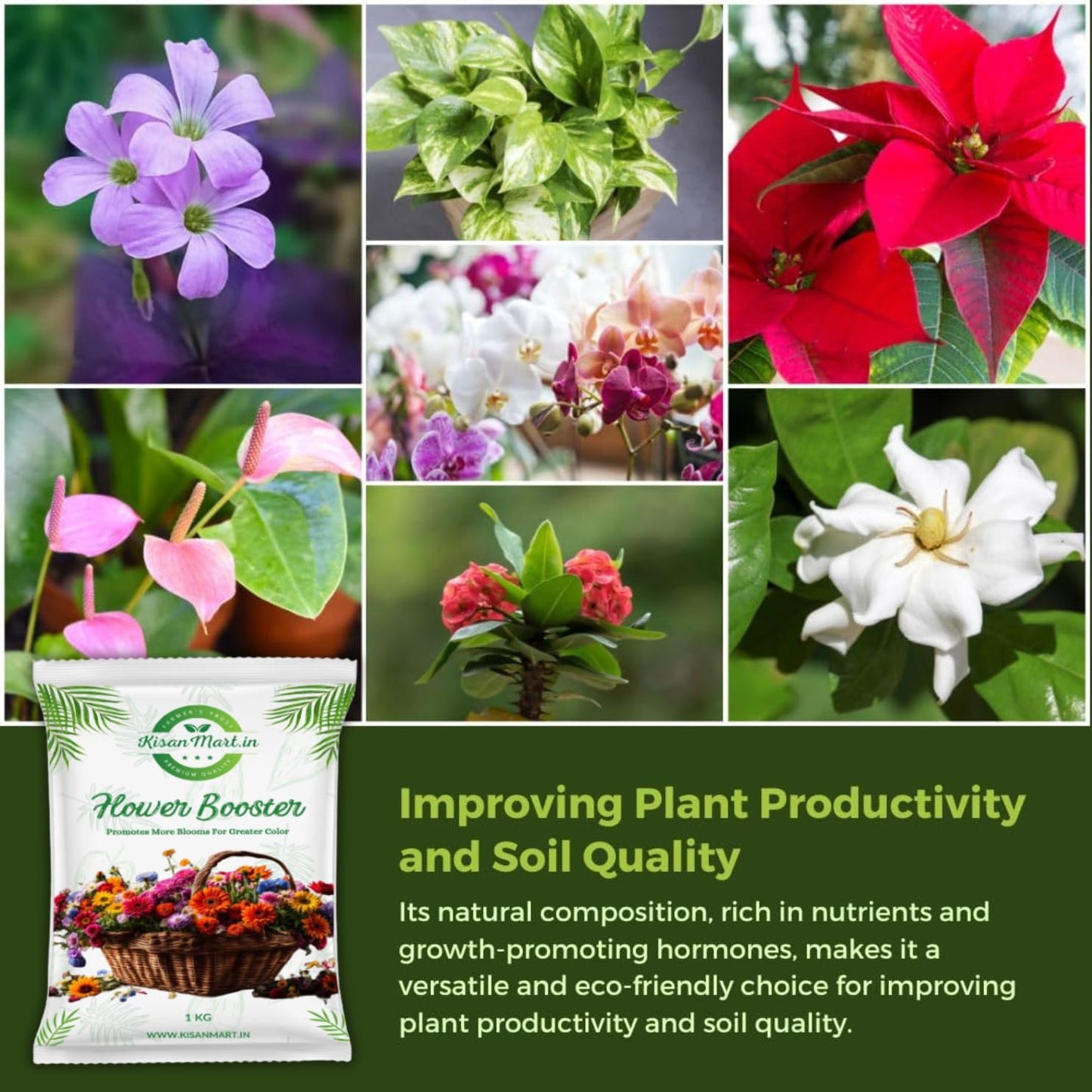 Kisanmart Flower Booster – Organic Bloom Enhancer for More Flowers & Healthier Plants | Increases Bud Formation, Improves Soil Fertility, Chemical-Free & Easy to Use