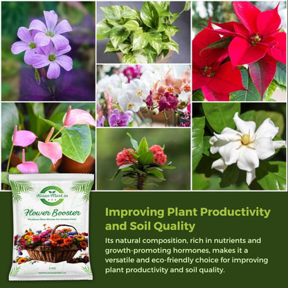 Kisanmart Flower Booster – Organic Bloom Enhancer for More Flowers & Healthier Plants | Increases Bud Formation, Improves Soil Fertility, Chemical-Free & Easy to Use