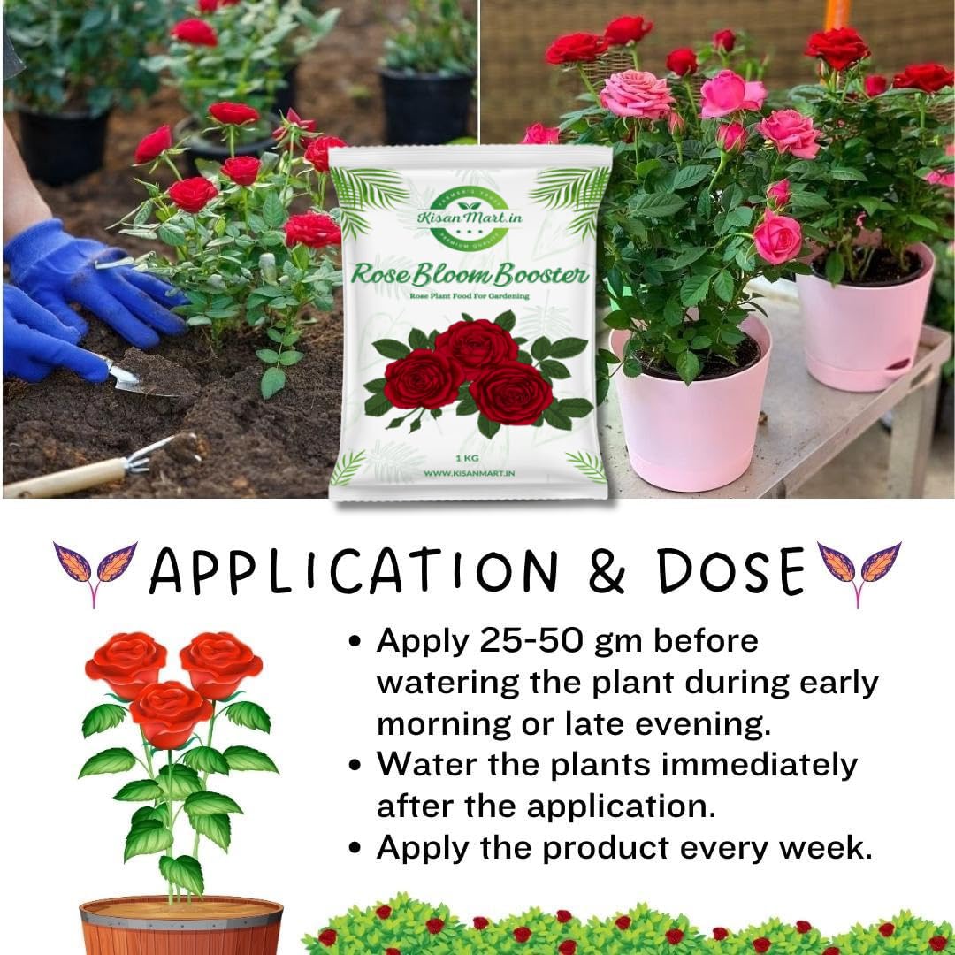 Kisanmart Rose Bloom Booster Organic Essential Plant Food for Rose Plants | For all varieties | Flower Booster Granules | Organic Fertilizer