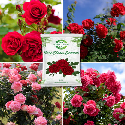 Kisanmart Rose Bloom Booster Organic Essential Plant Food for Rose Plants | For all varieties | Flower Booster Granules | Organic Fertilizer