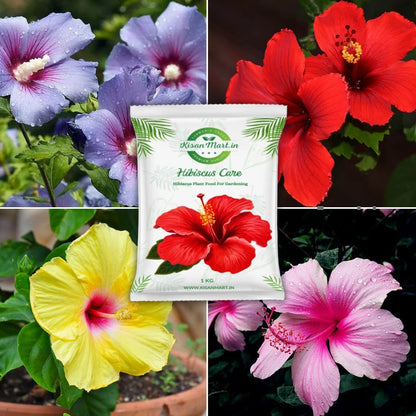Kisanmart Hibiscus Care – 100% Organic Flower Booster for Healthy Growth & More Blooms | Enhances Root Strength, Increases Bud Formation, Improves Soil Fertility & Plant Immunity