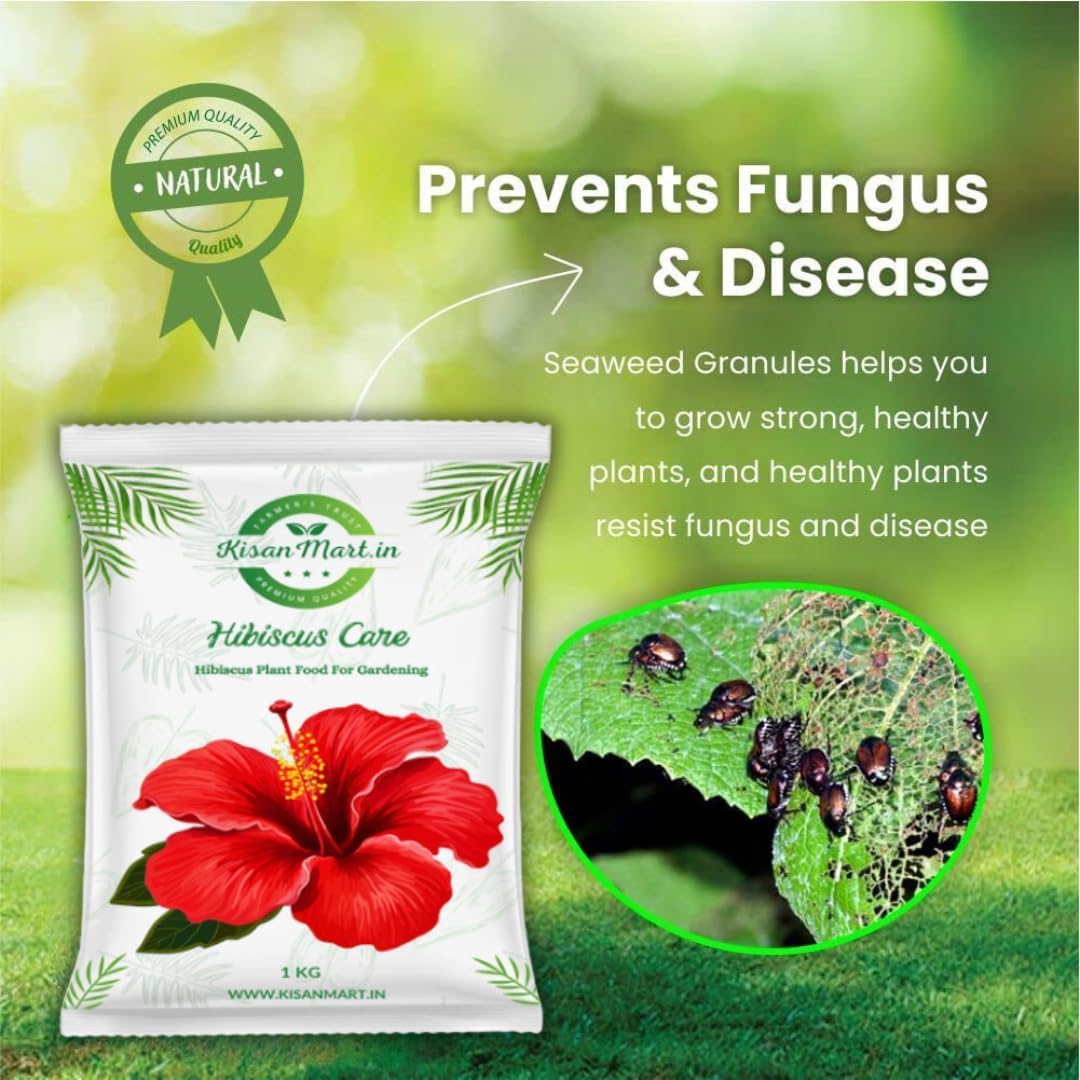 Kisanmart Hibiscus Care – 100% Organic Flower Booster for Healthy Growth & More Blooms | Enhances Root Strength, Increases Bud Formation, Improves Soil Fertility & Plant Immunity