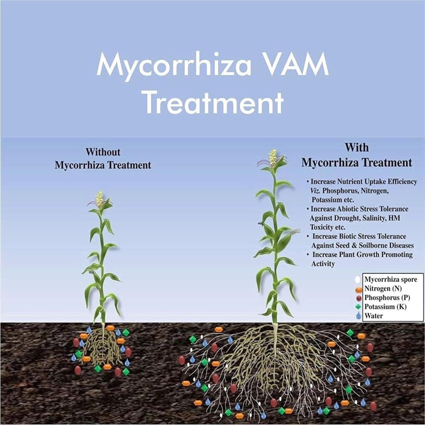 KISANMART Root Care VAM Mycorrhiza