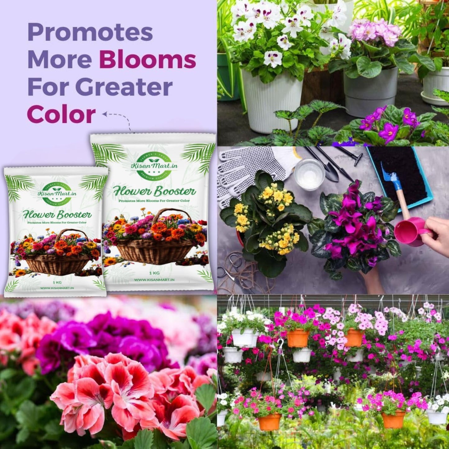 Kisanmart Flower Booster – Organic Bloom Enhancer for More Flowers & Healthier Plants | Increases Bud Formation, Improves Soil Fertility, Chemical-Free & Easy to Use